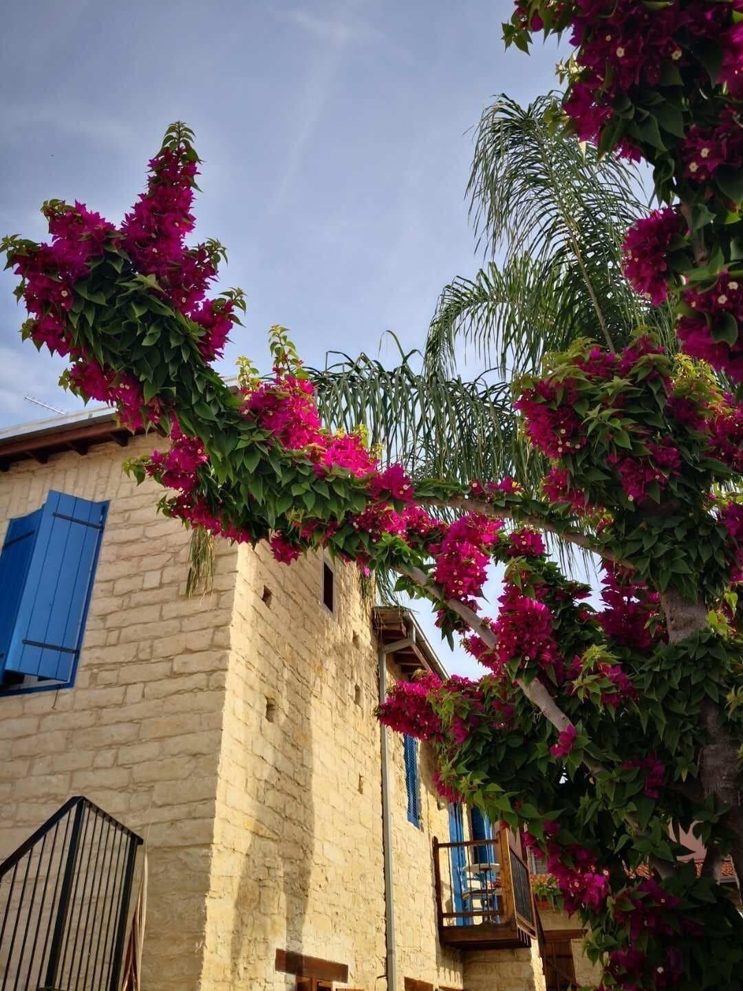 Niki'S House Apartment Limassol Exterior photo