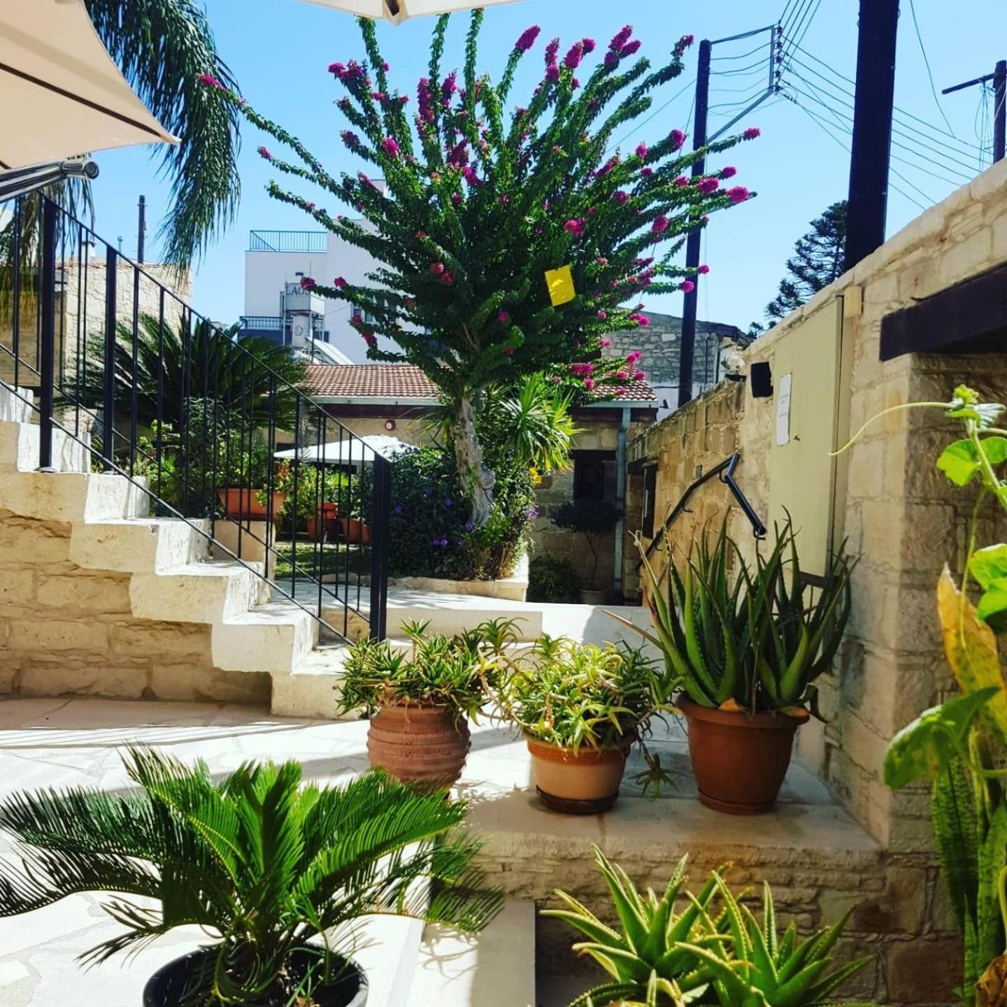 Niki'S House Apartment Limassol Exterior photo
